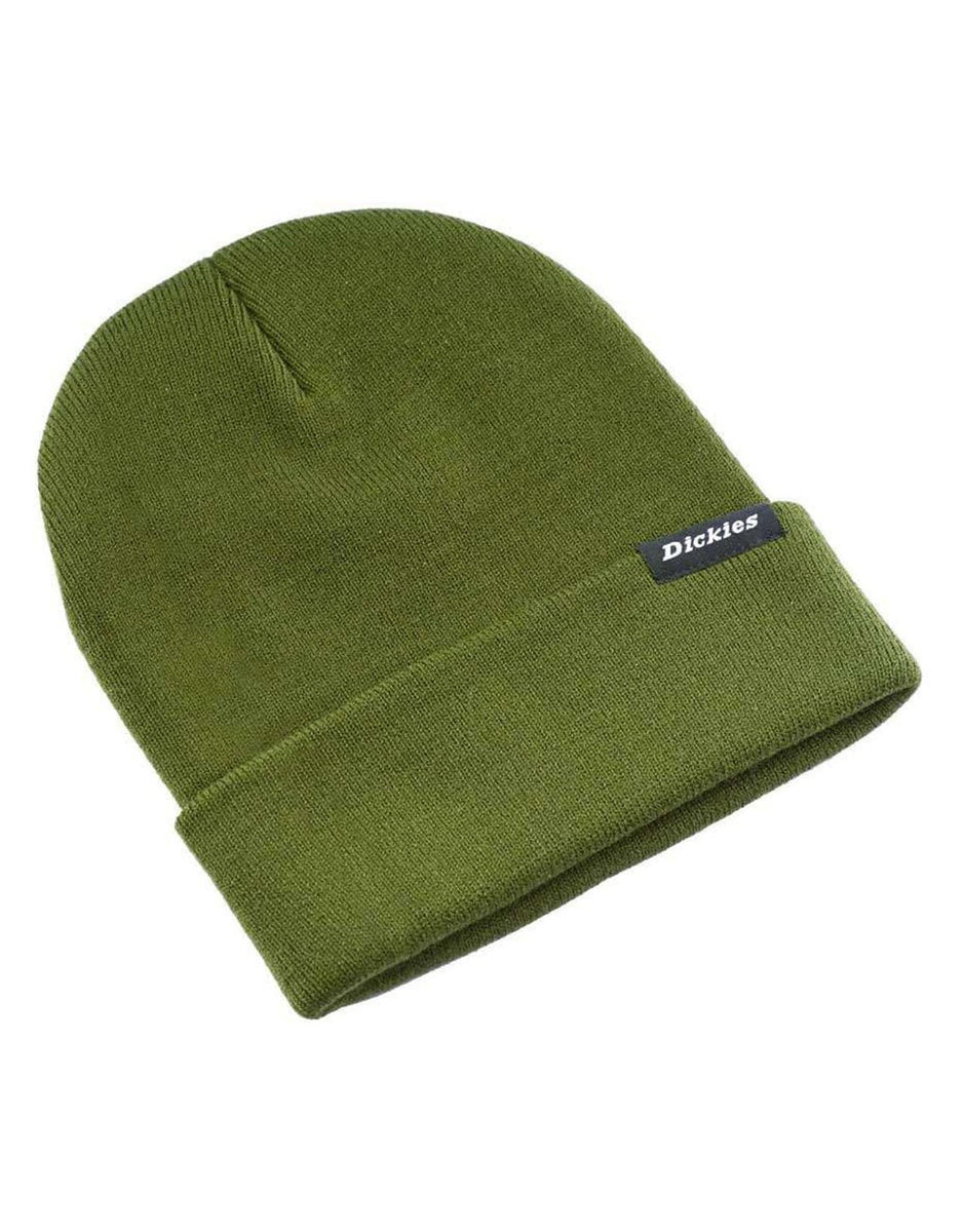 Dickies 2024 alaska beanie