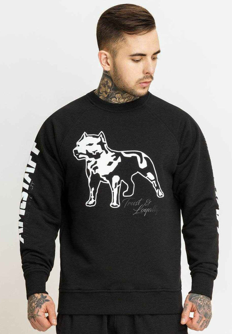Amstaff Logo 2.0 Sweatshirt hos Stillo