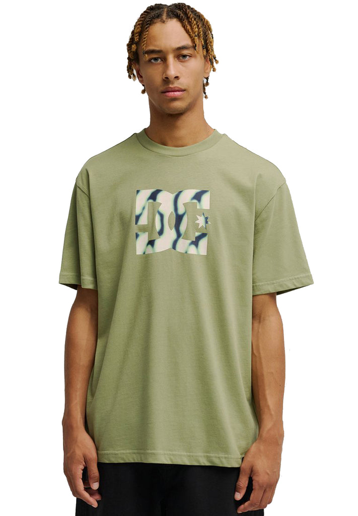 DC Shoes DC Star Filled T-Shirt hos Stillo