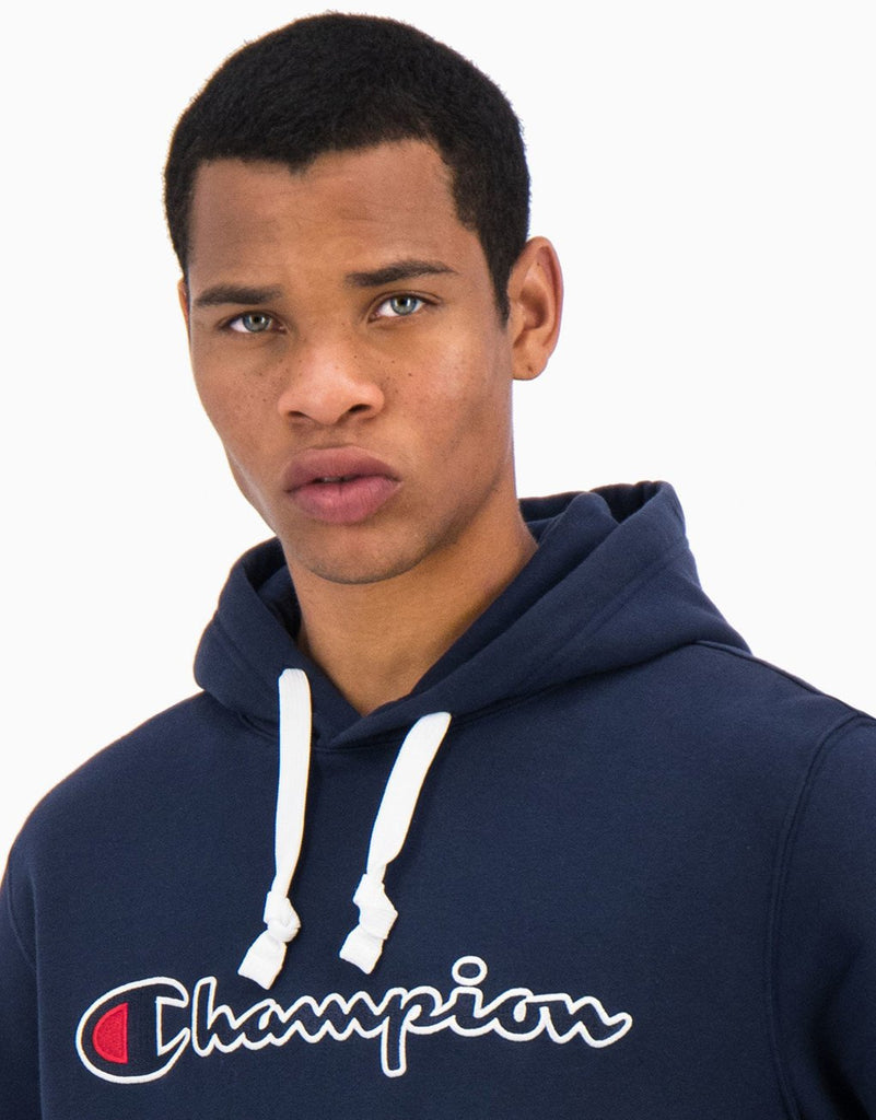 Champion satin script clearance hoodie