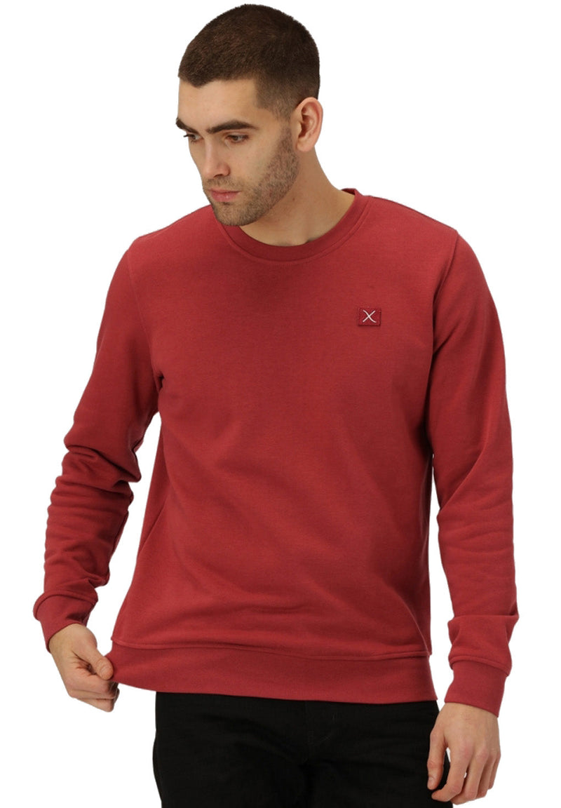 Clean Cut Basic Organic Crew hos Stillo