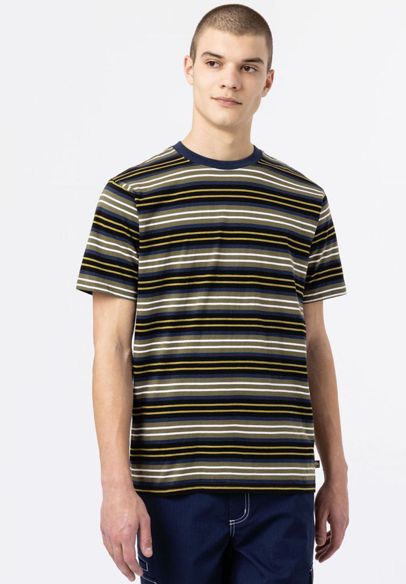 Dickies Bothell Stripe T-Shirt hos Stillo