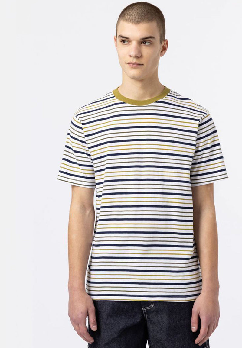 Dickies Bothell Stripe T-Shirt hos Stillo