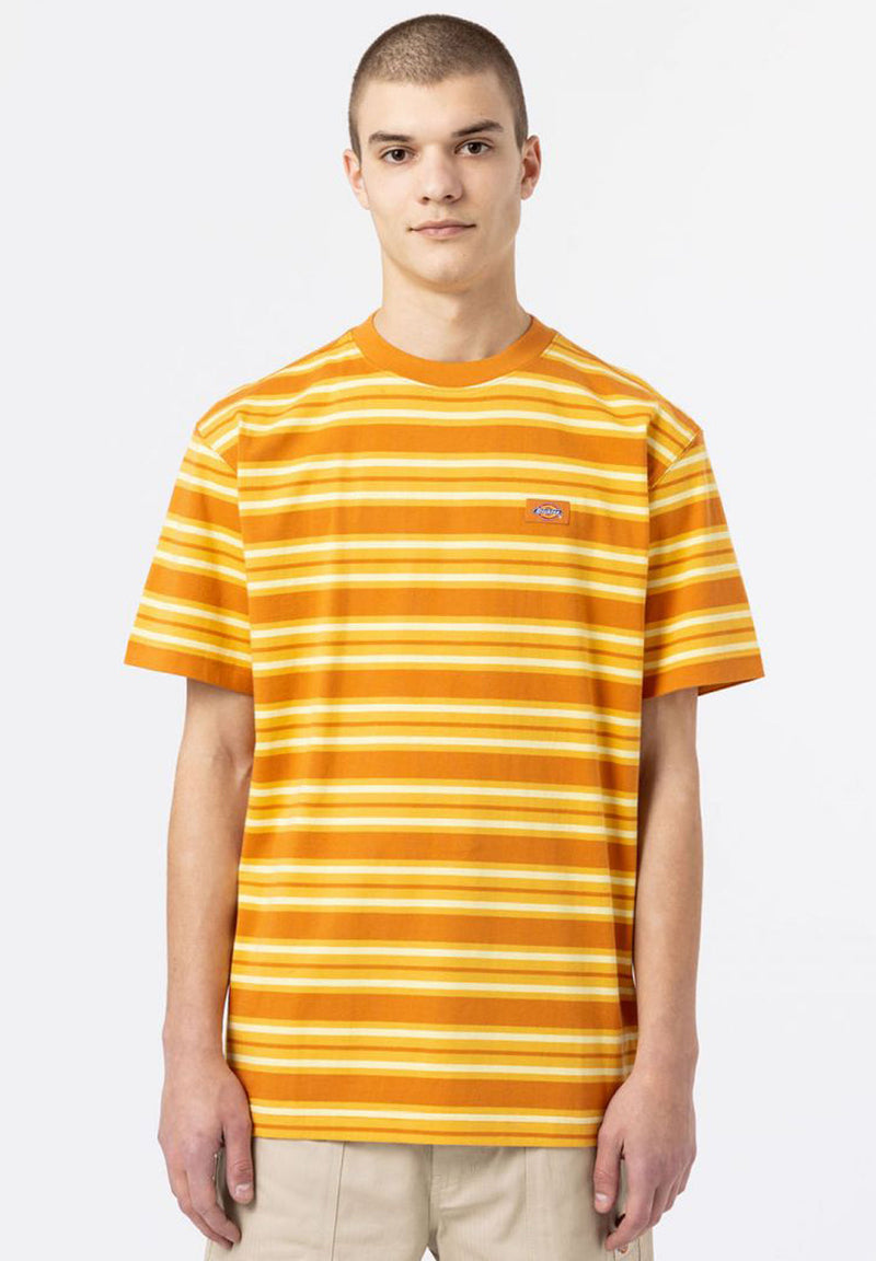 Dickies Lynnwood T-Shirt hos Stillo
