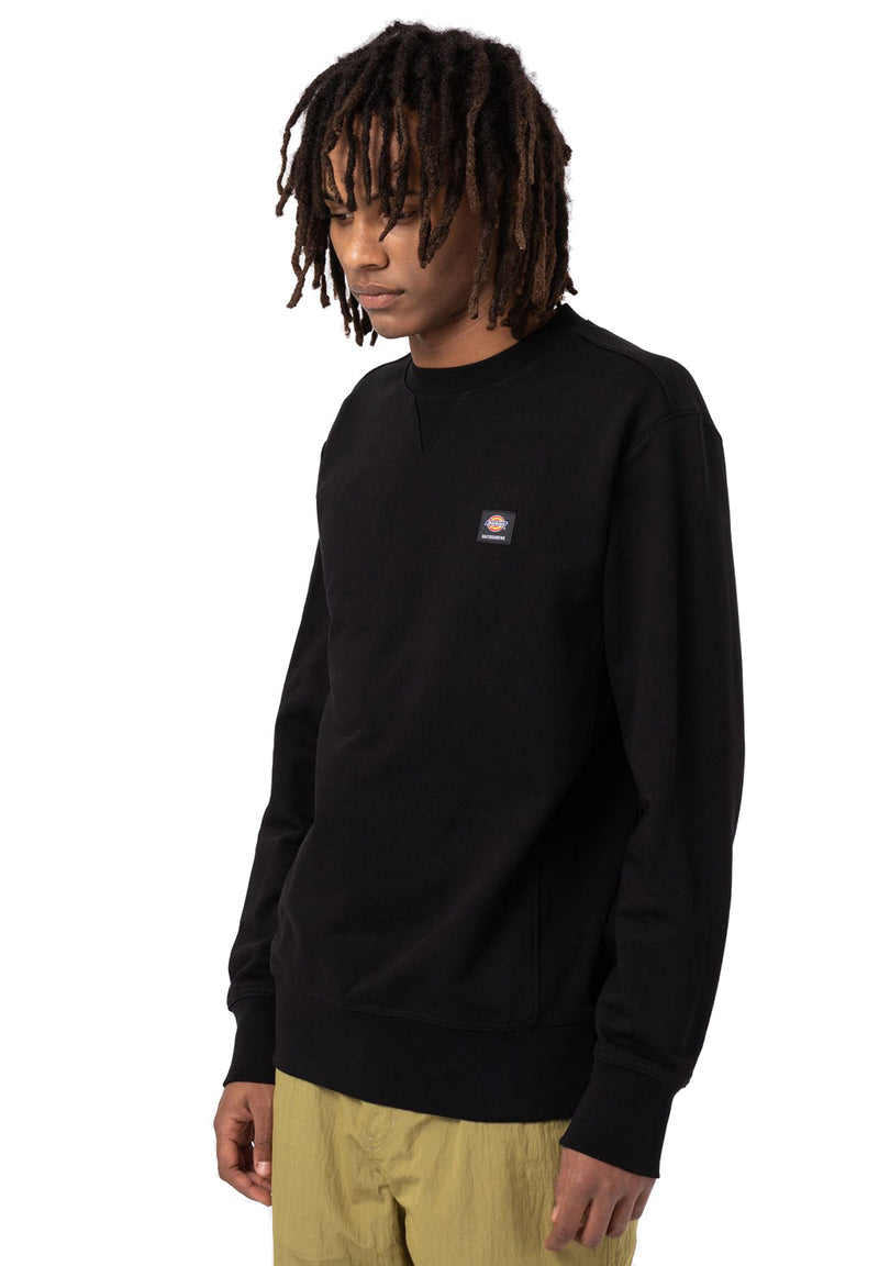 Dickies Mount Vista Sweatshirt hos Stillo