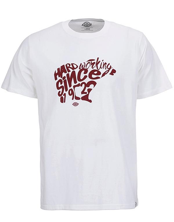 Dickies Owen T-Shirt hos Stillo
