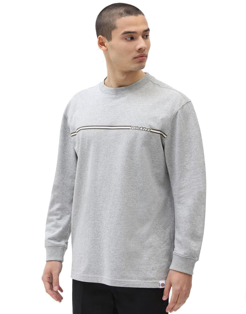 Dickies Sparkman Long Sleeve T-Shirt hos Stillo