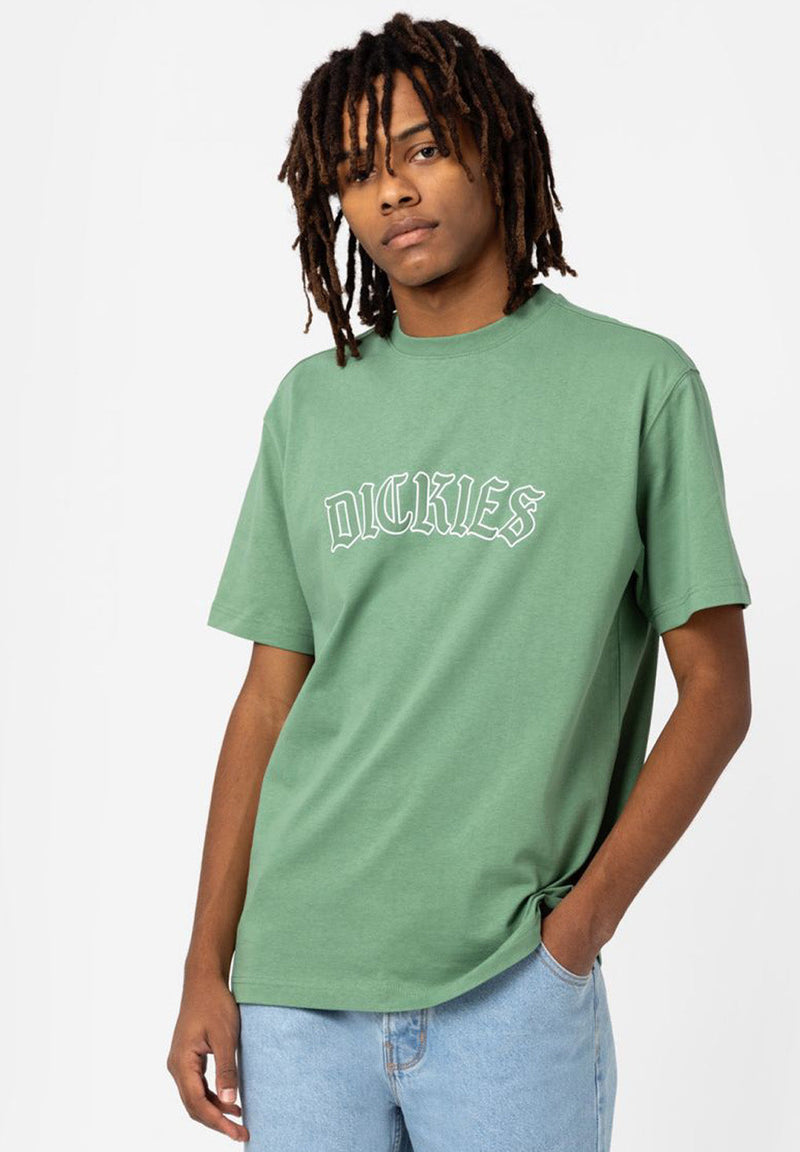 Dickies Union Springs T-Shirt hos Stillo