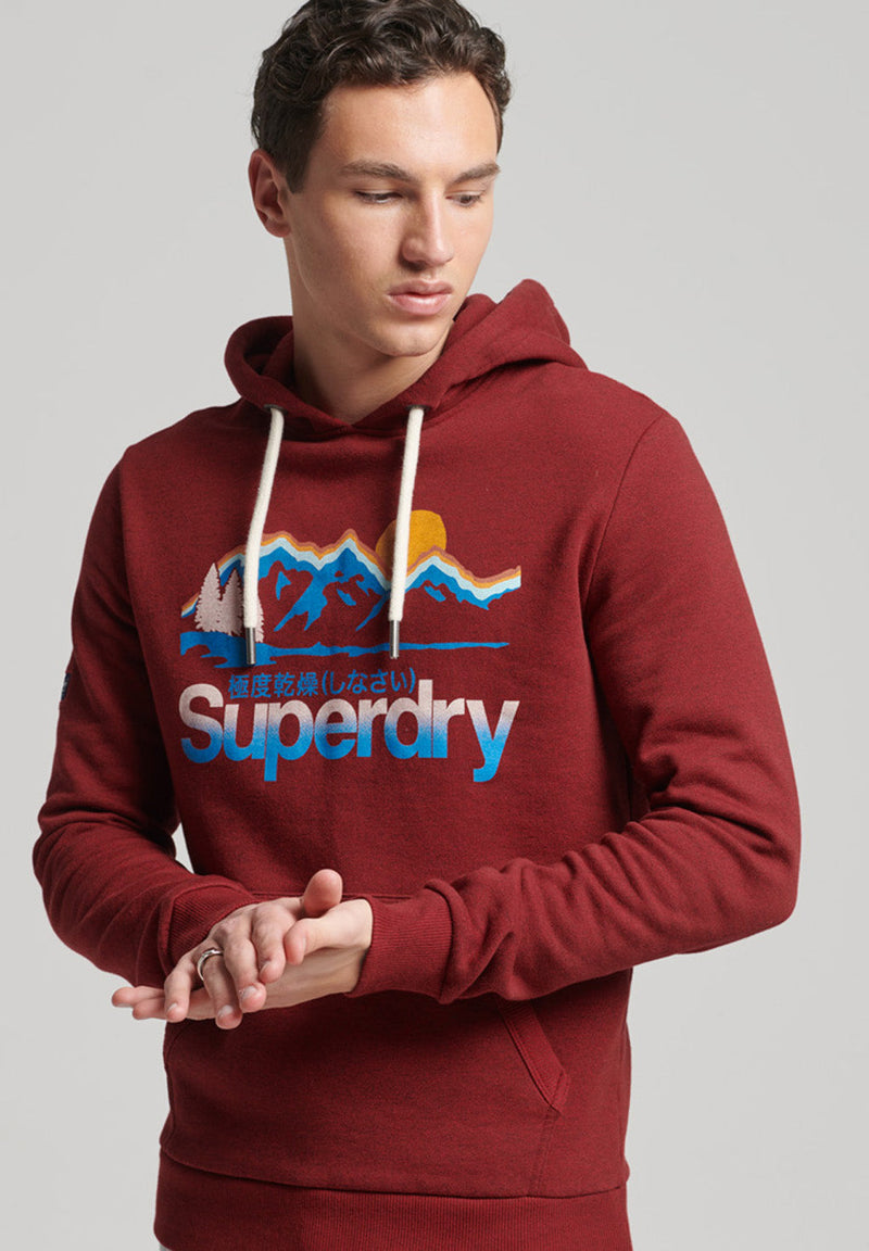 Superdry Core Logo Great Outdoors Hoodie hos Stillo